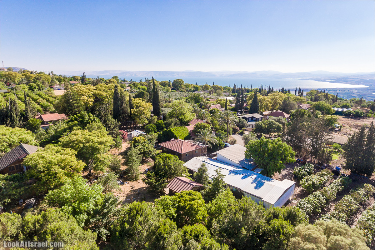 Маале Гамла и полет над Голнаскими высотами | LookAtIsrael.com - Фото путешествия по Израилю