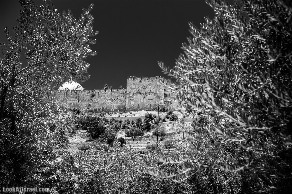 Черно белый Иерусалим | LookAtIsrael.com - Фото путешествия по Израилю