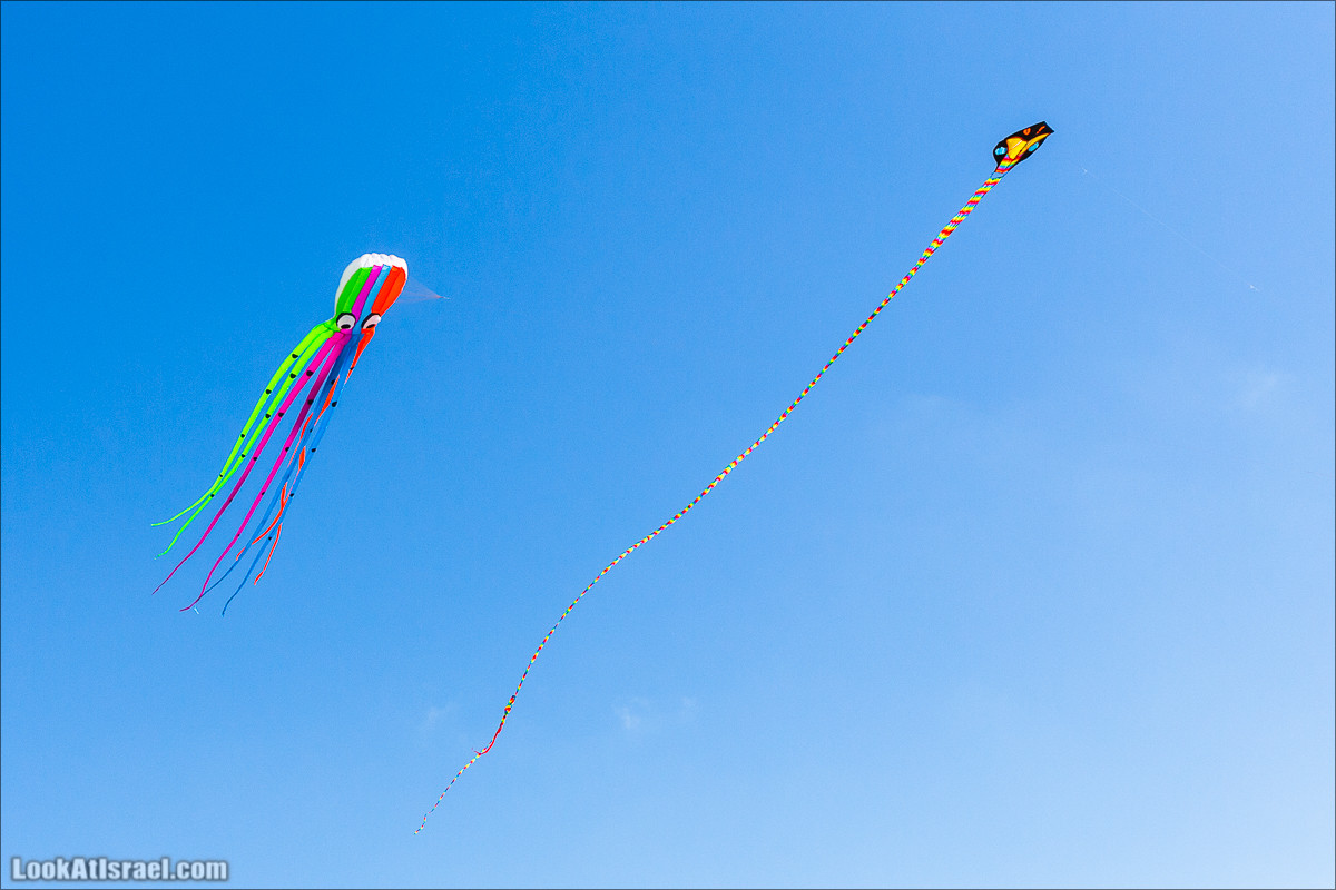 Воздушные змеи в Яффо | LookAtIsrael.com - Фото путешествия по Израилю