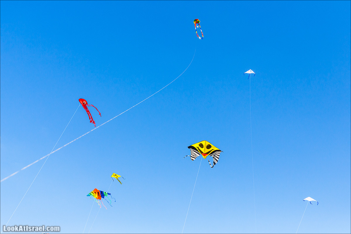 Воздушные змеи в Яффо | LookAtIsrael.com - Фото путешествия по Израилю
