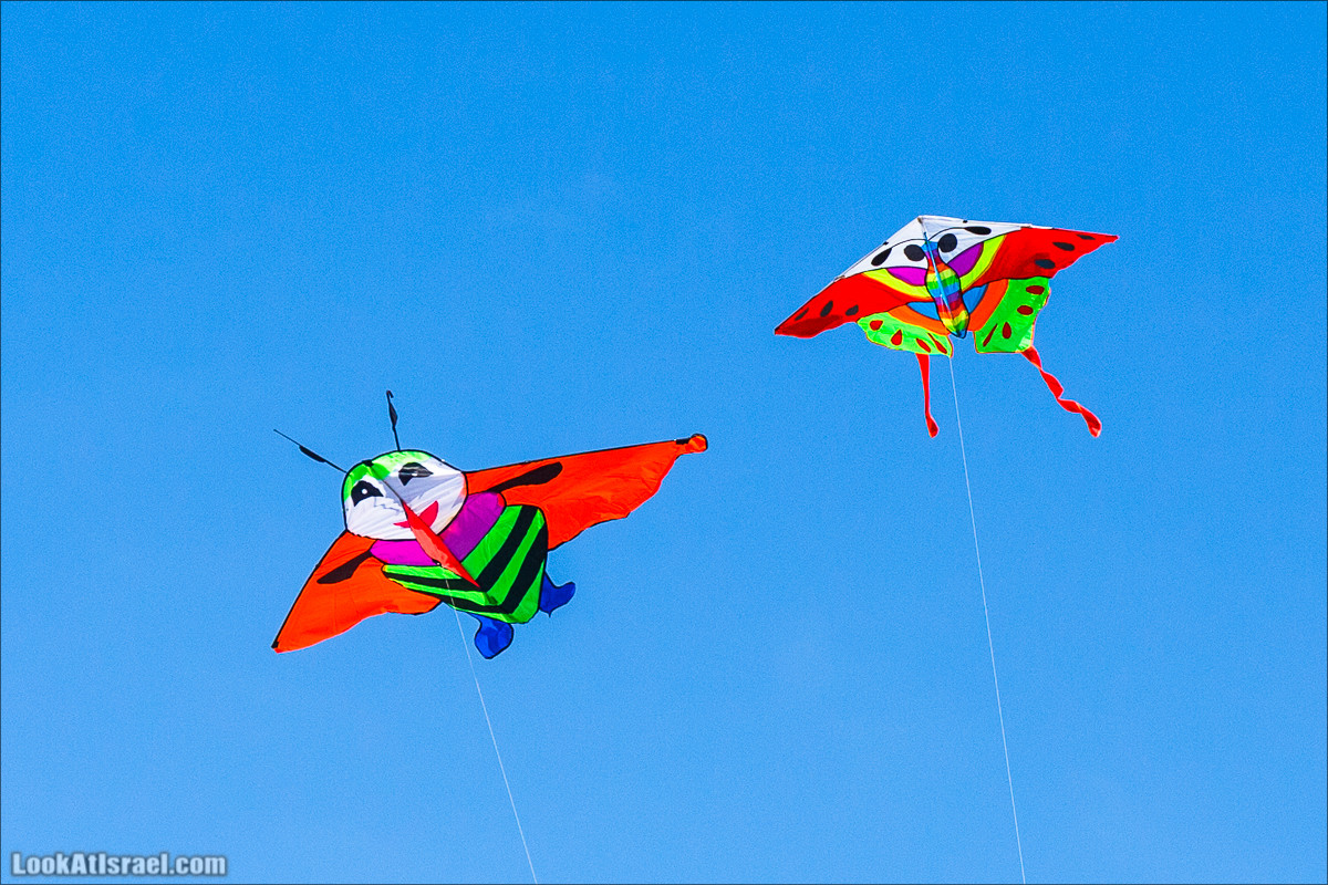 Воздушные змеи в Яффо | LookAtIsrael.com - Фото путешествия по Израилю