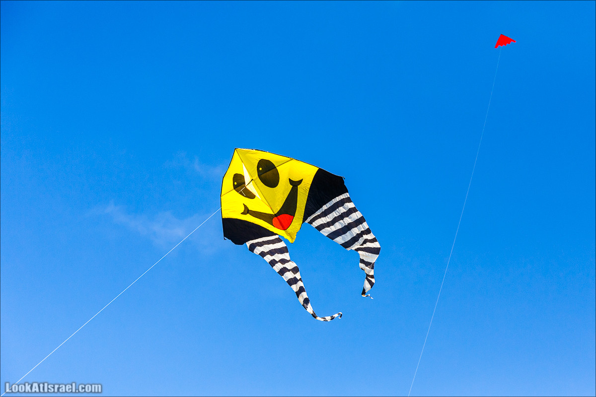 Воздушные змеи в Яффо | LookAtIsrael.com - Фото путешествия по Израилю