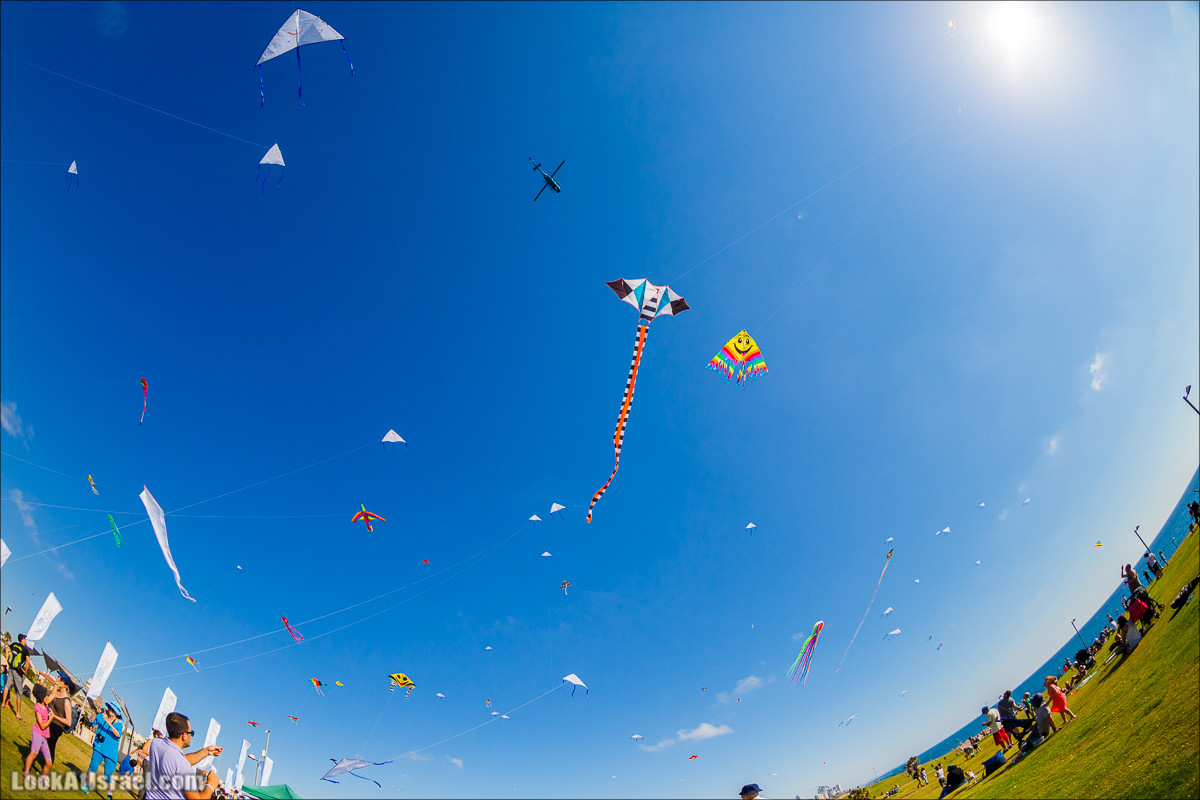 Воздушные змеи в Яффо | LookAtIsrael.com - Фото путешествия по Израилю
