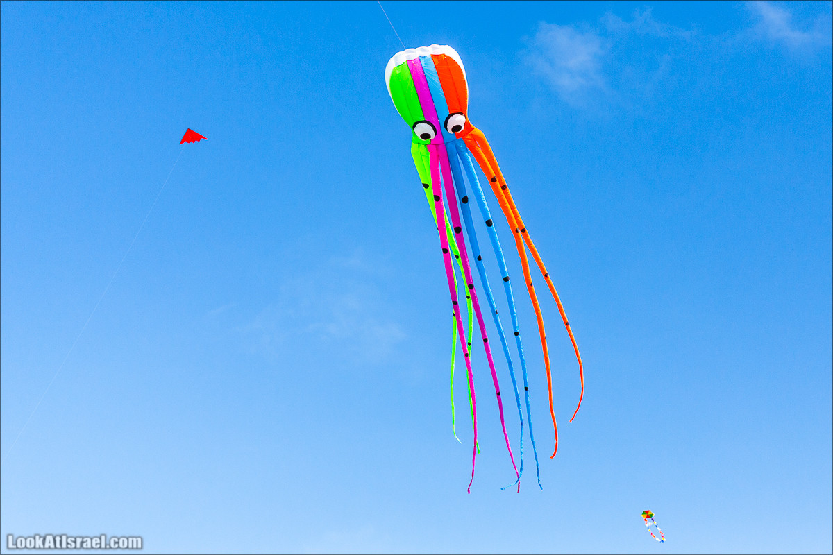 Воздушные змеи в Яффо | LookAtIsrael.com - Фото путешествия по Израилю
