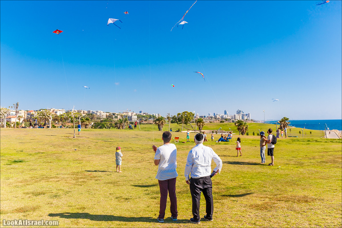 Воздушные змеи в Яффо | LookAtIsrael.com - Фото путешествия по Израилю