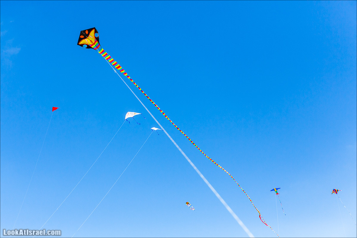 Воздушные змеи в Яффо | LookAtIsrael.com - Фото путешествия по Израилю