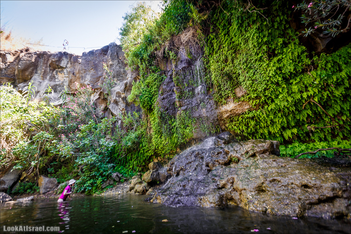 Эль Аль не летает. Эль Аль течёт