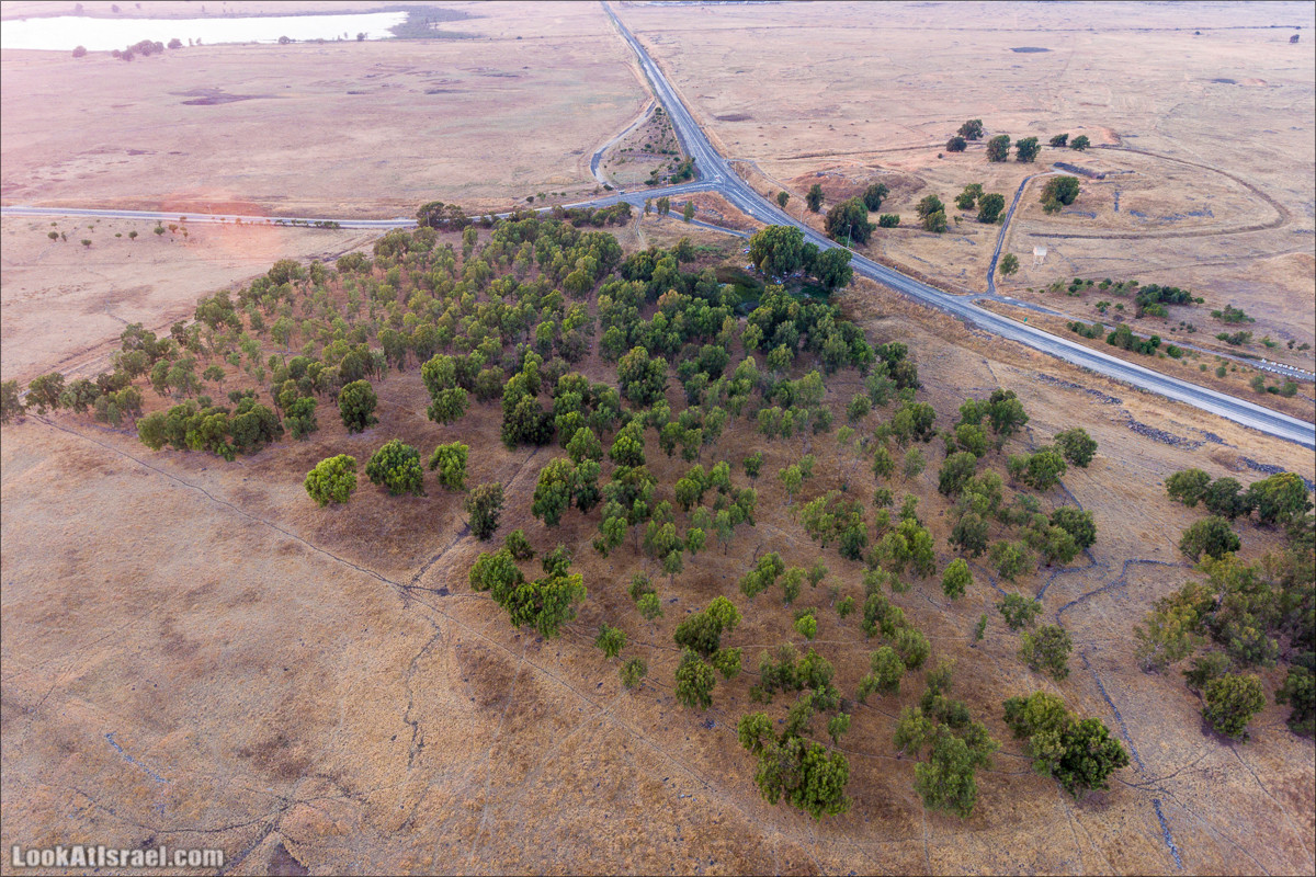 Нахаль Эль Аль, Черный и Белый водопады | Nahal El Al, Black and White Waterfalls | נחל אל על, מפלים שחור ולבן LookAtIsrael.com - Фото путешествия по Израилю