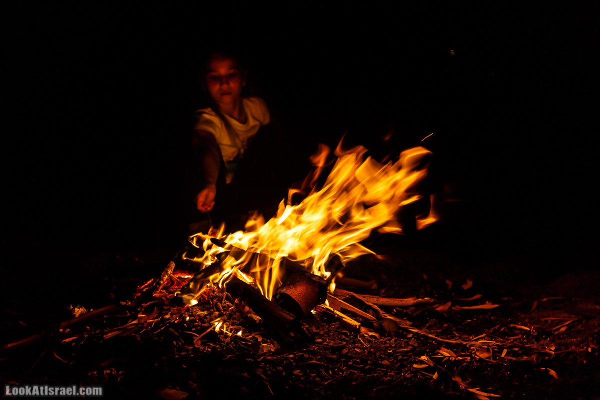 Нахаль Эль Аль, Черный и Белый водопады | Nahal El Al, Black and White Waterfalls | נחל אל על, מפלים שחור ולבן LookAtIsrael.com - Фото путешествия по Израилю