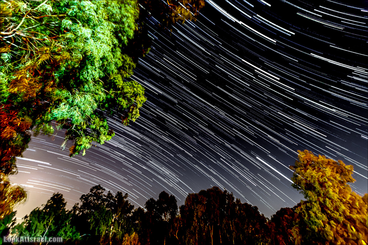 Нахаль Эль Аль, Черный и Белый водопады | Nahal El Al, Black and White Waterfalls | נחל אל על, מפלים שחור ולבן LookAtIsrael.com - Фото путешествия по Израилю