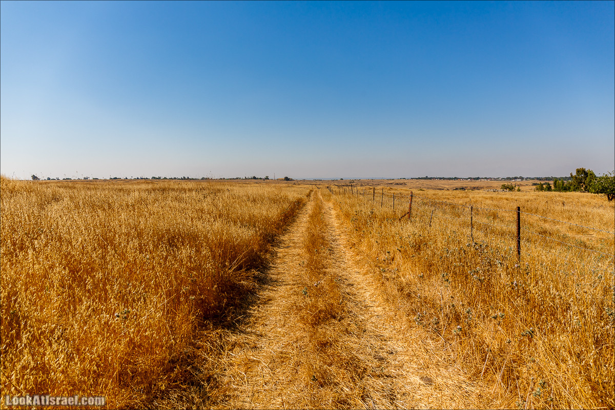 Нахаль Эль Аль, Черный и Белый водопады | Nahal El Al, Black and White Waterfalls | נחל אל על, מפלים שחור ולבן LookAtIsrael.com - Фото путешествия по Израилю
