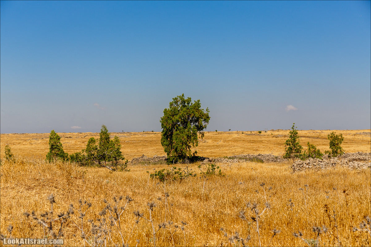 Нахаль Эль Аль, Черный и Белый водопады | Nahal El Al, Black and White Waterfalls | נחל אל על, מפלים שחור ולבן LookAtIsrael.com - Фото путешествия по Израилю
