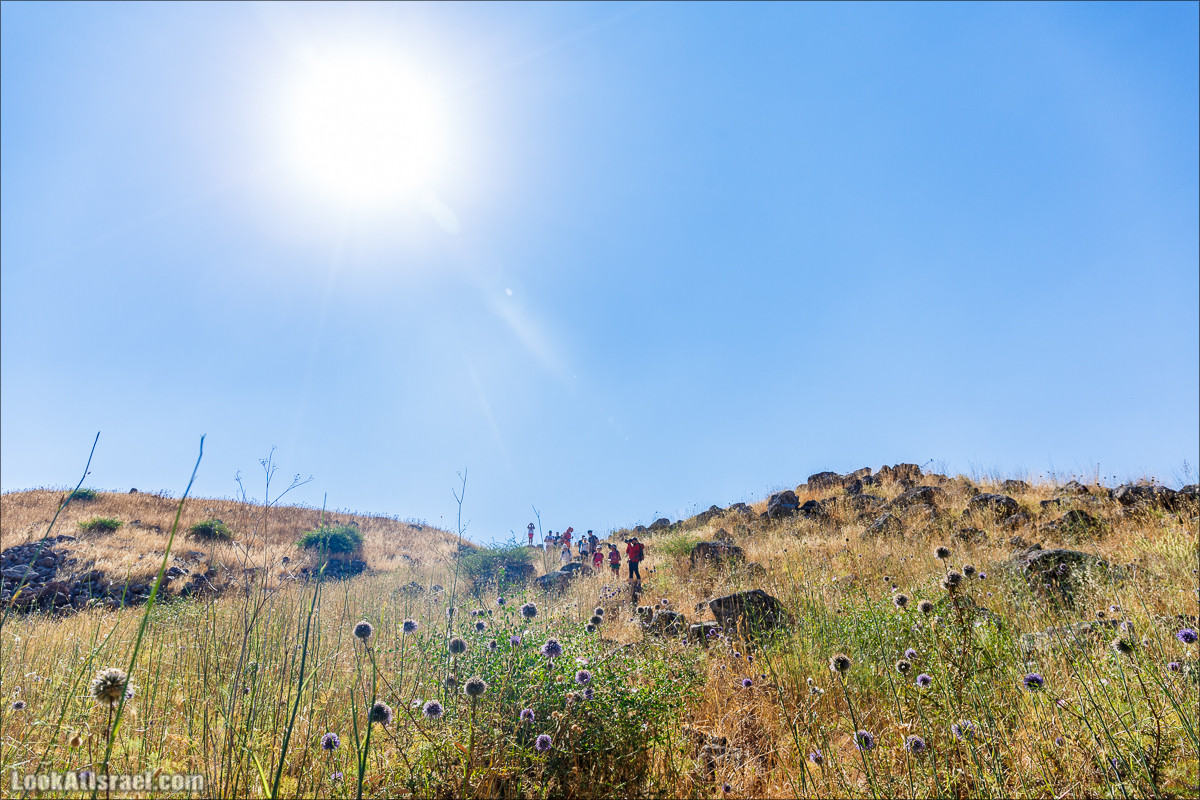 Нахаль Эль Аль, Черный и Белый водопады | Nahal El Al, Black and White Waterfalls | נחל אל על, מפלים שחור ולבן LookAtIsrael.com - Фото путешествия по Израилю