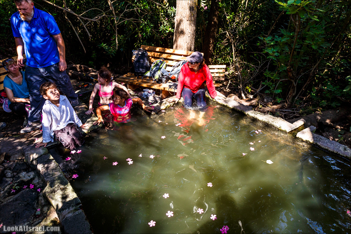 Нахаль Эль Аль, Черный и Белый водопады | Nahal El Al, Black and White Waterfalls | נחל אל על, מפלים שחור ולבן LookAtIsrael.com - Фото путешествия по Израилю