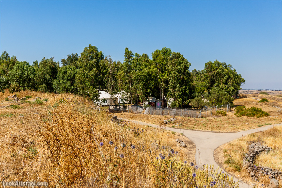 Нахаль Эль Аль, Черный и Белый водопады | Nahal El Al, Black and White Waterfalls | נחל אל על, מפלים שחור ולבן LookAtIsrael.com - Фото путешествия по Израилю