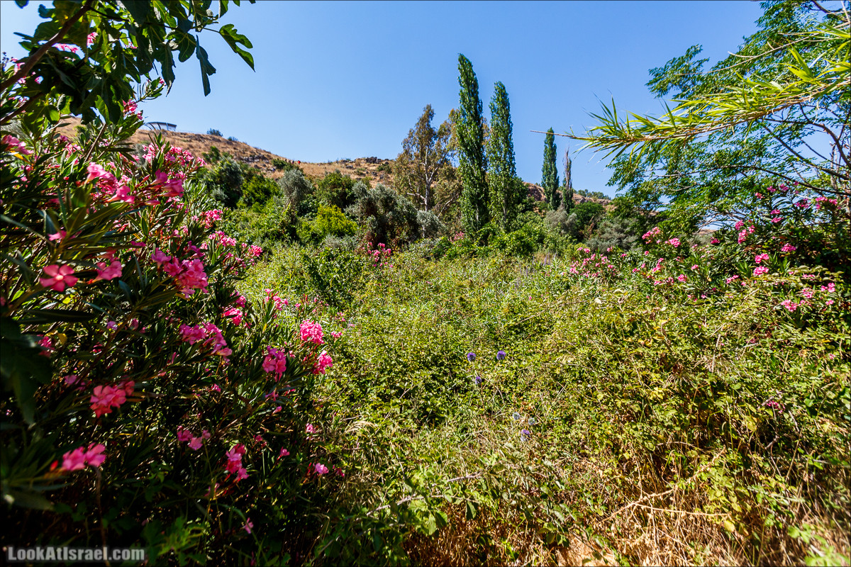 Нахаль Эль Аль, Черный и Белый водопады | Nahal El Al, Black and White Waterfalls | נחל אל על, מפלים שחור ולבן LookAtIsrael.com - Фото путешествия по Израилю