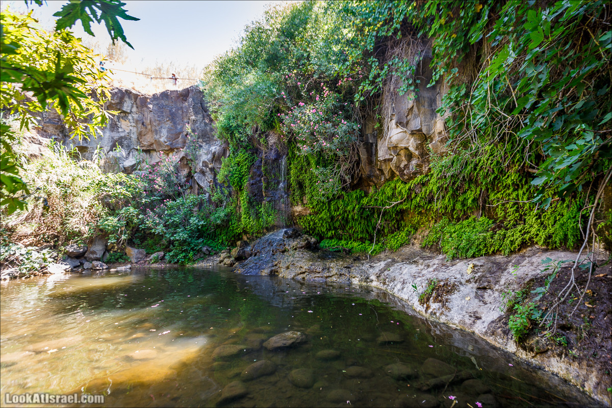 Нахаль Эль Аль, Черный и Белый водопады | Nahal El Al, Black and White Waterfalls | נחל אל על, מפלים שחור ולבן LookAtIsrael.com - Фото путешествия по Израилю