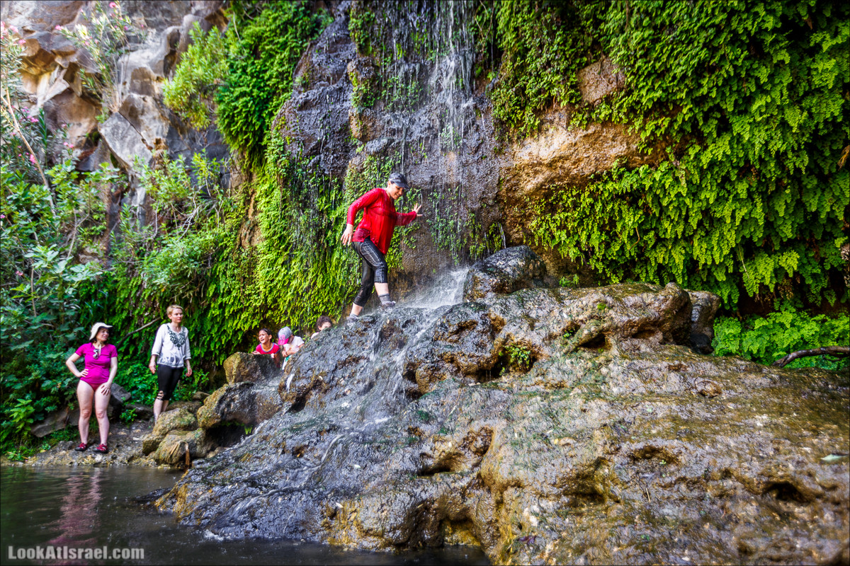 Нахаль Эль Аль, Черный и Белый водопады | Nahal El Al, Black and White Waterfalls | נחל אל על, מפלים שחור ולבן LookAtIsrael.com - Фото путешествия по Израилю
