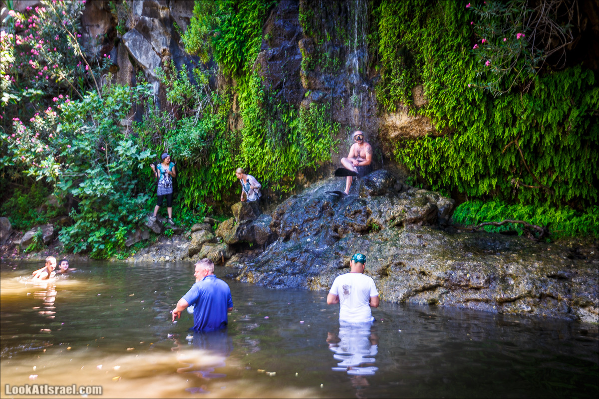 Нахаль Эль Аль, Черный и Белый водопады | Nahal El Al, Black and White Waterfalls | נחל אל על, מפלים שחור ולבן LookAtIsrael.com - Фото путешествия по Израилю