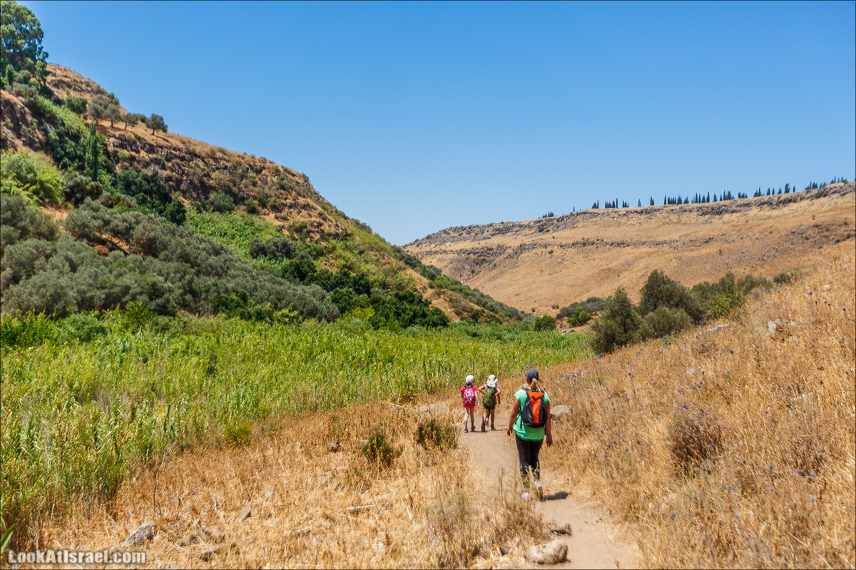 Нахаль Эль Аль, Черный и Белый водопады | Nahal El Al, Black and White Waterfalls | נחל אל על, מפלים שחור ולבן LookAtIsrael.com - Фото путешествия по Израилю