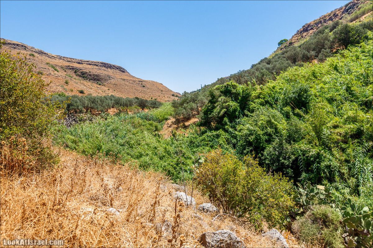 Нахаль Эль Аль, Черный и Белый водопады | Nahal El Al, Black and White Waterfalls | נחל אל על, מפלים שחור ולבן LookAtIsrael.com - Фото путешествия по Израилю