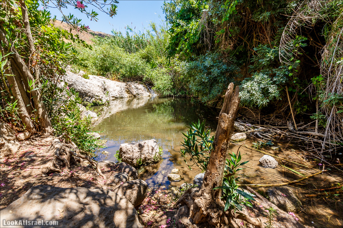 Нахаль Эль Аль, Черный и Белый водопады | Nahal El Al, Black and White Waterfalls | נחל אל על, מפלים שחור ולבן LookAtIsrael.com - Фото путешествия по Израилю