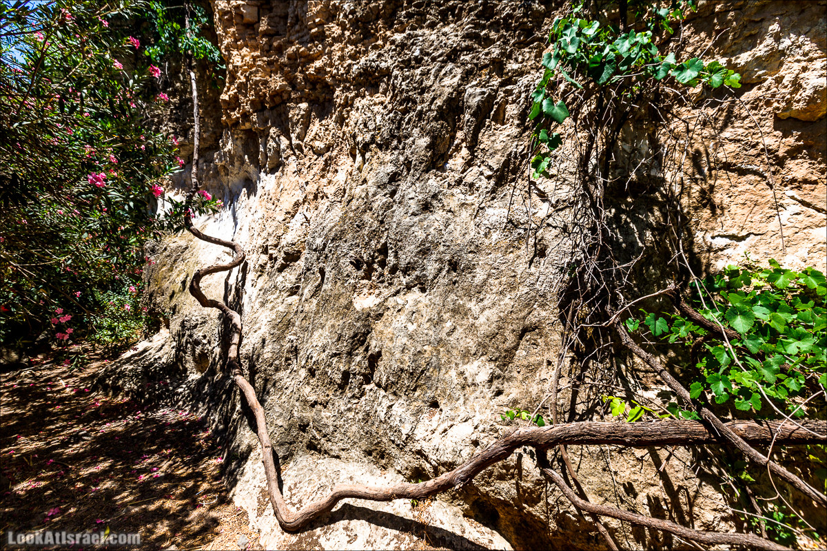Нахаль Эль Аль, Черный и Белый водопады | Nahal El Al, Black and White Waterfalls | נחל אל על, מפלים שחור ולבן LookAtIsrael.com - Фото путешествия по Израилю