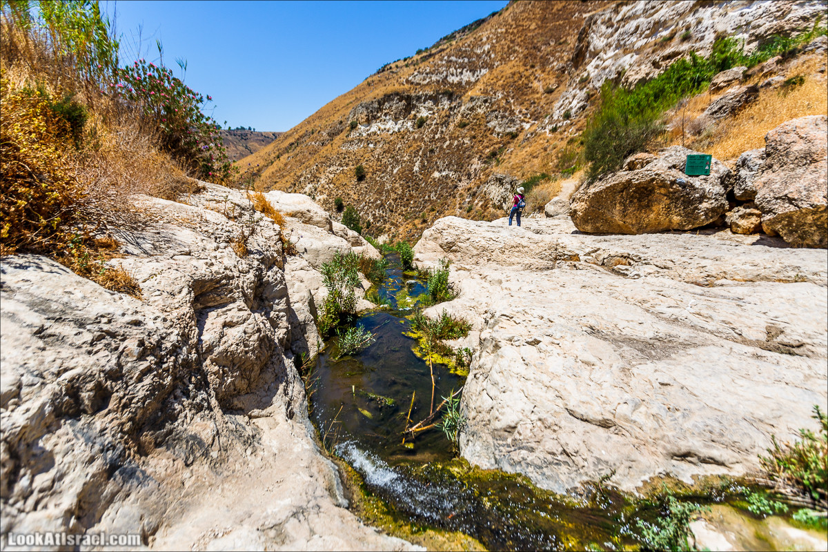 Нахаль Эль Аль, Черный и Белый водопады | Nahal El Al, Black and White Waterfalls | נחל אל על, מפלים שחור ולבן LookAtIsrael.com - Фото путешествия по Израилю