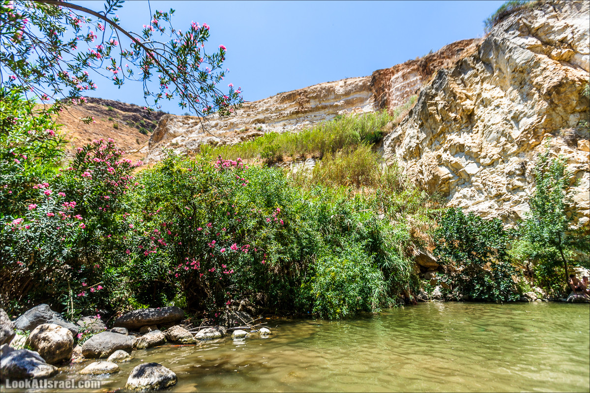 Нахаль Эль Аль, Черный и Белый водопады | Nahal El Al, Black and White Waterfalls | נחל אל על, מפלים שחור ולבן LookAtIsrael.com - Фото путешествия по Израилю