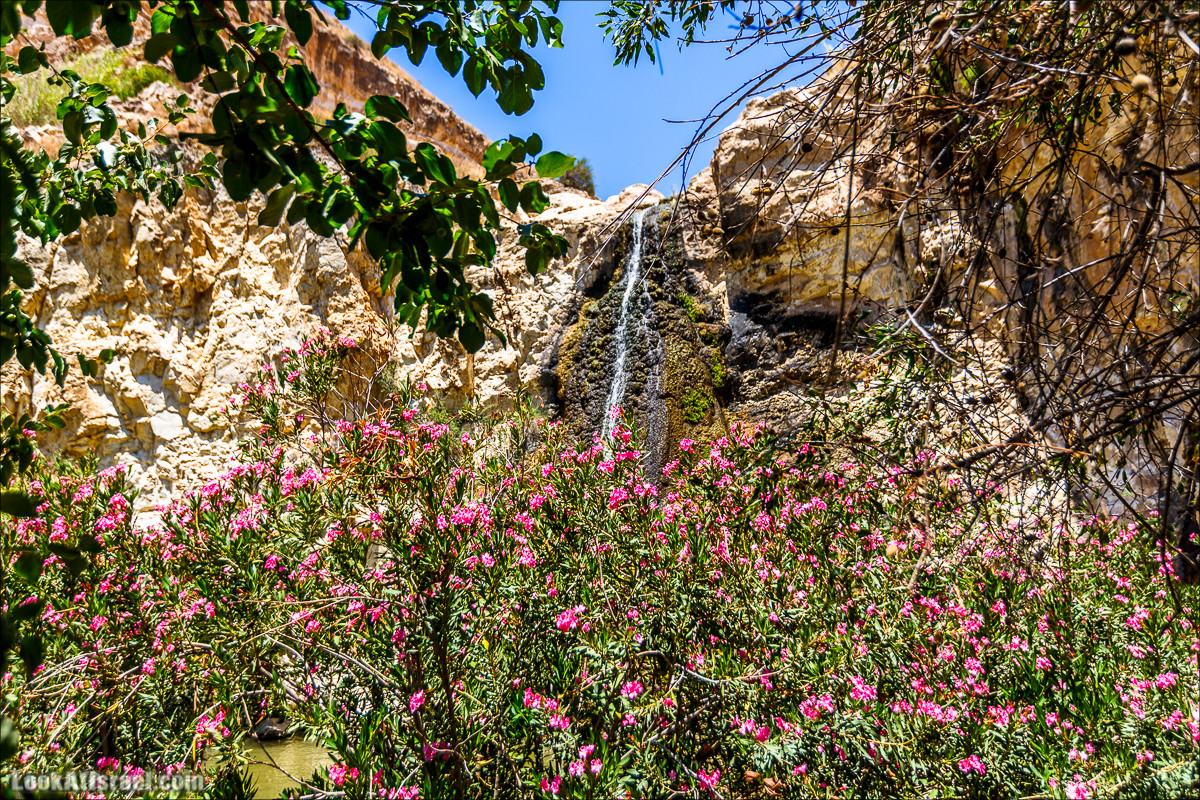Нахаль Эль Аль, Черный и Белый водопады | Nahal El Al, Black and White Waterfalls | נחל אל על, מפלים שחור ולבן LookAtIsrael.com - Фото путешествия по Израилю