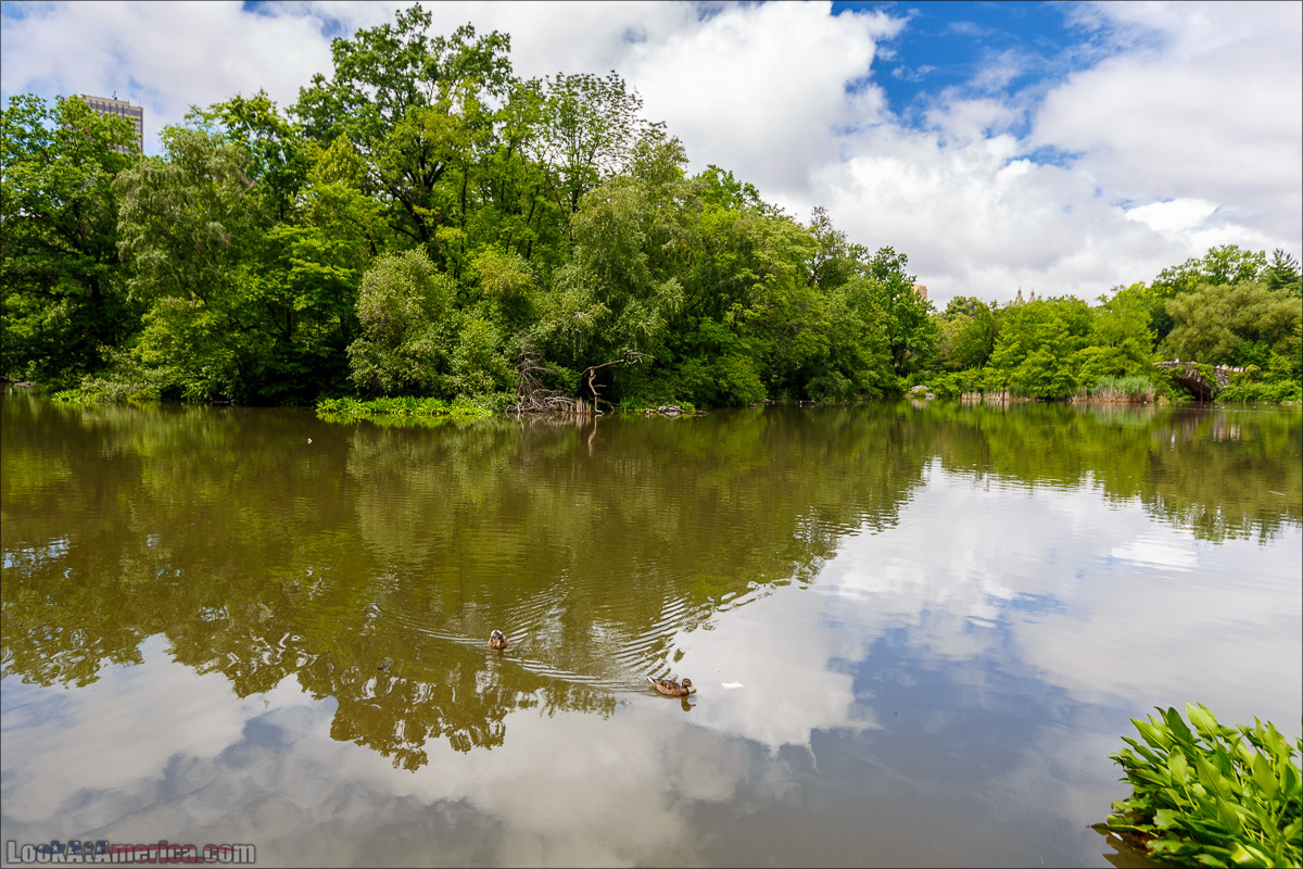 Прогулка по Манхеттену | LookAtAmerica.com - Большое Американское путешествие LookAtIsrael.com