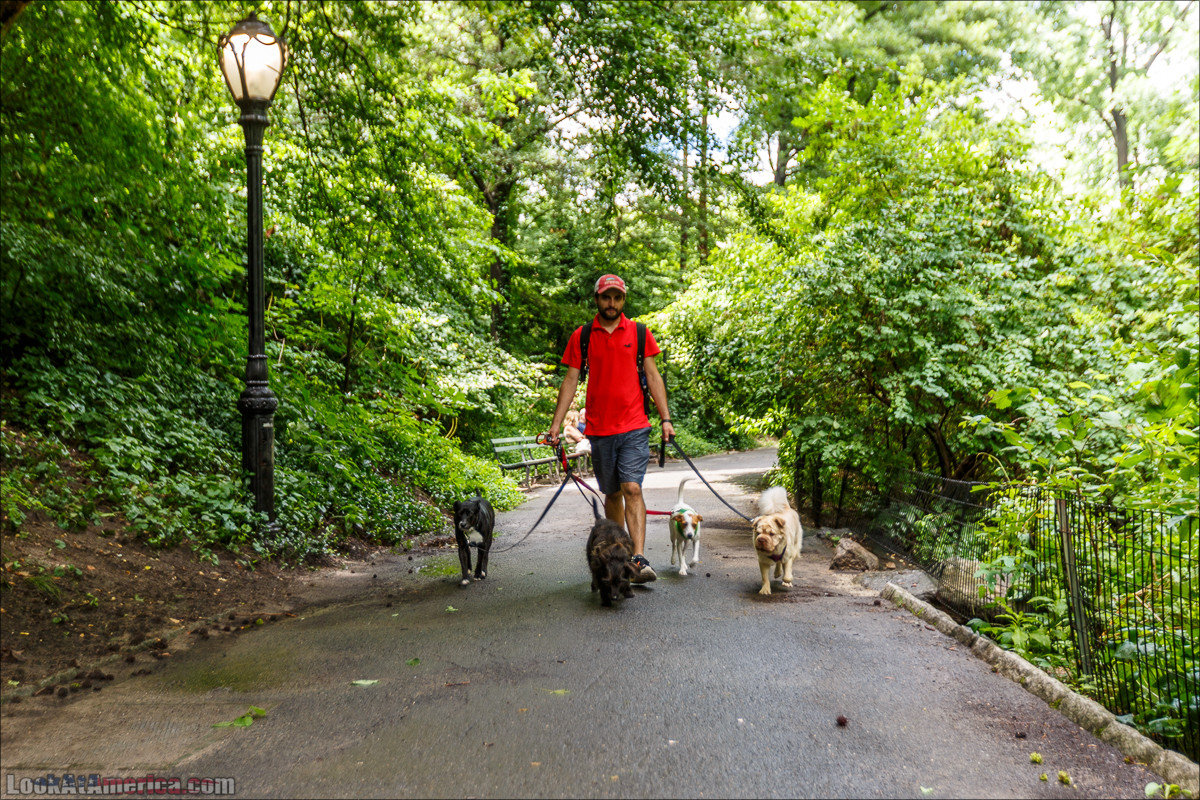 Прогулка по Манхеттену | LookAtAmerica.com - Большое Американское путешествие LookAtIsrael.com