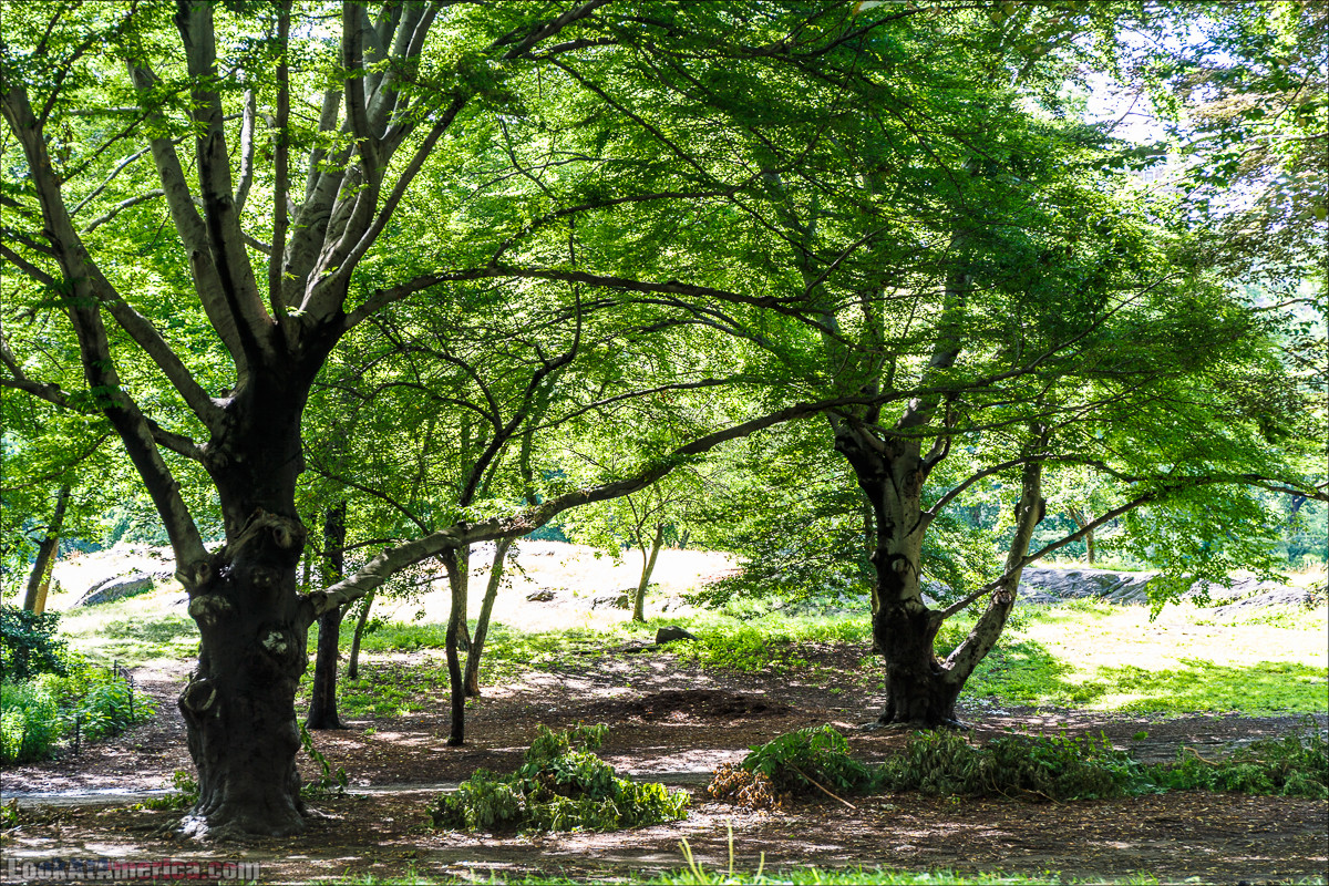 Прогулка по Манхеттену | LookAtAmerica.com - Большое Американское путешествие LookAtIsrael.com