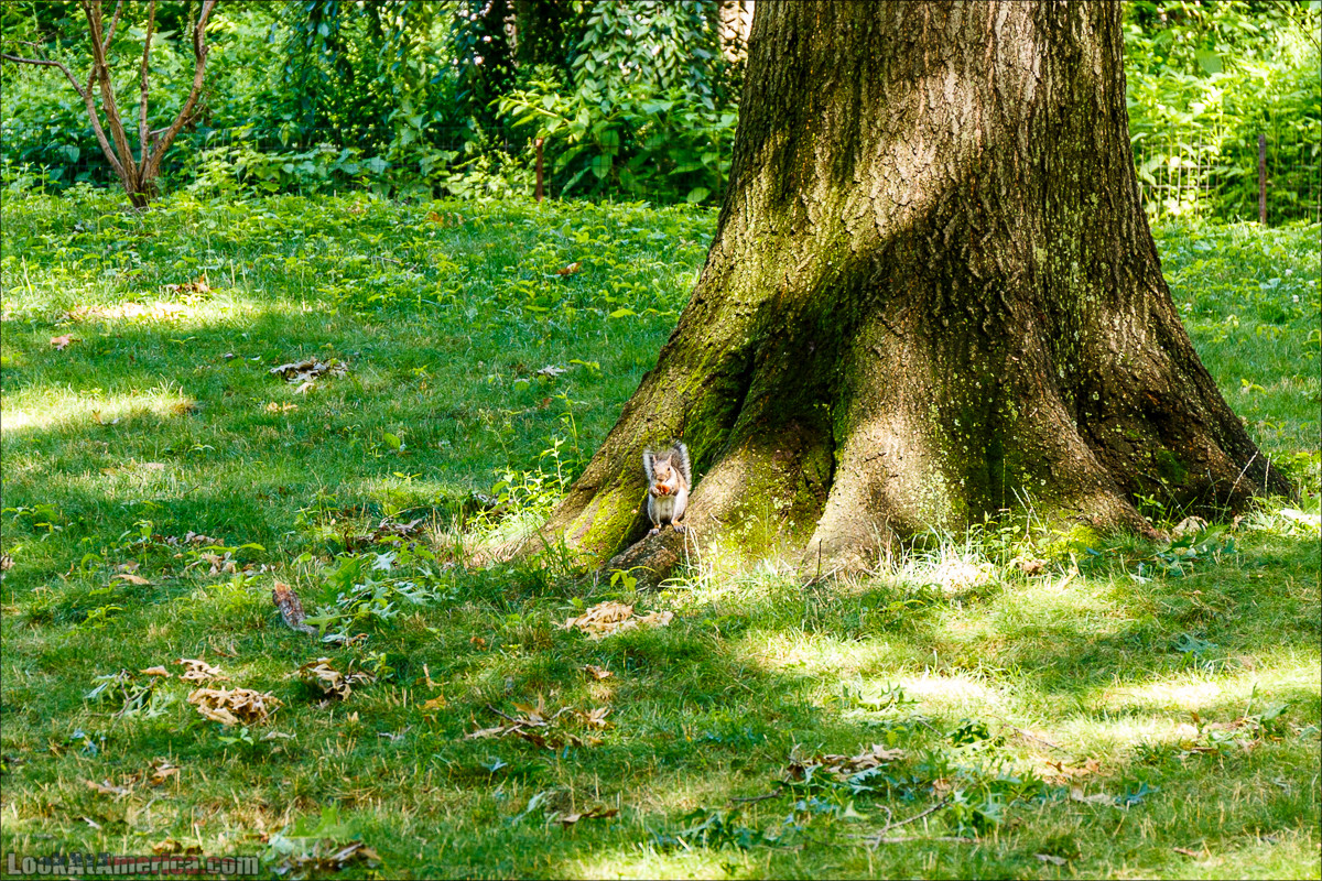 Прогулка по Манхеттену | LookAtAmerica.com - Большое Американское путешествие LookAtIsrael.com