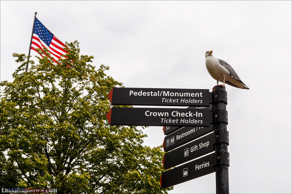 Статуя Свободы на одноименном острове | LookAtAmerica.com - Большое Американское путешествие LookAtIsrael.com