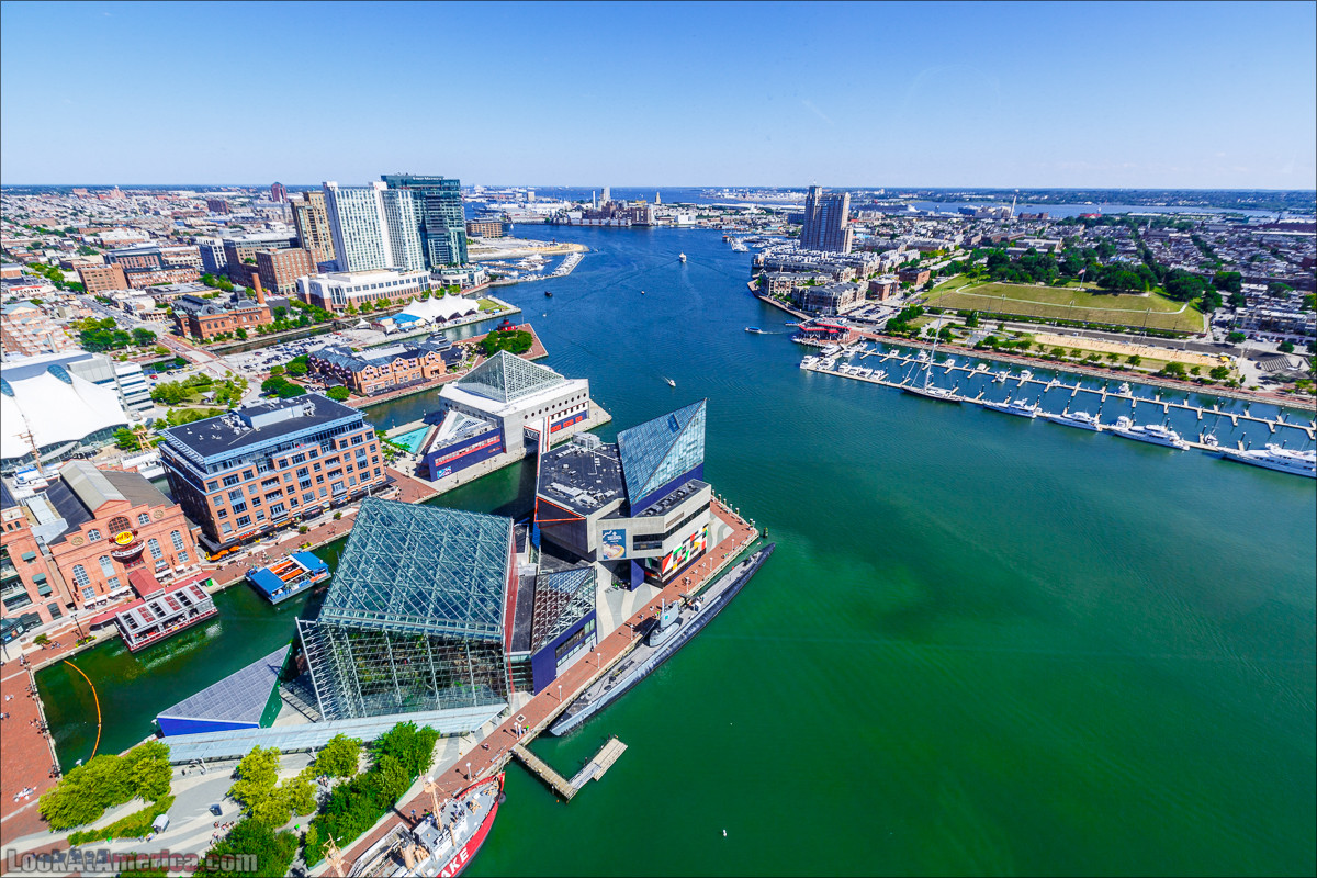 Где мы, Бэрримор? Это суровый Балтимор!