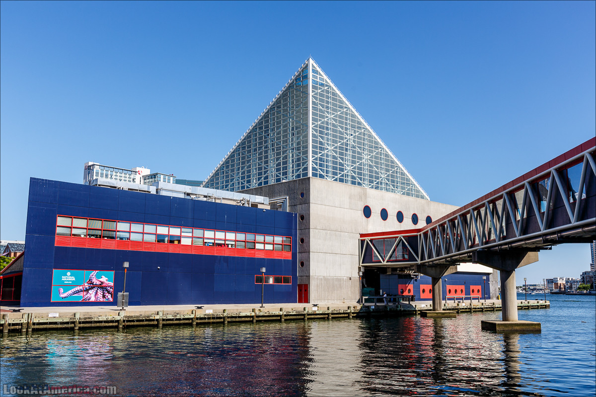 Балтимор | LookAtAmerica.com - Большое Американское путешествие LookAtIsrael.com