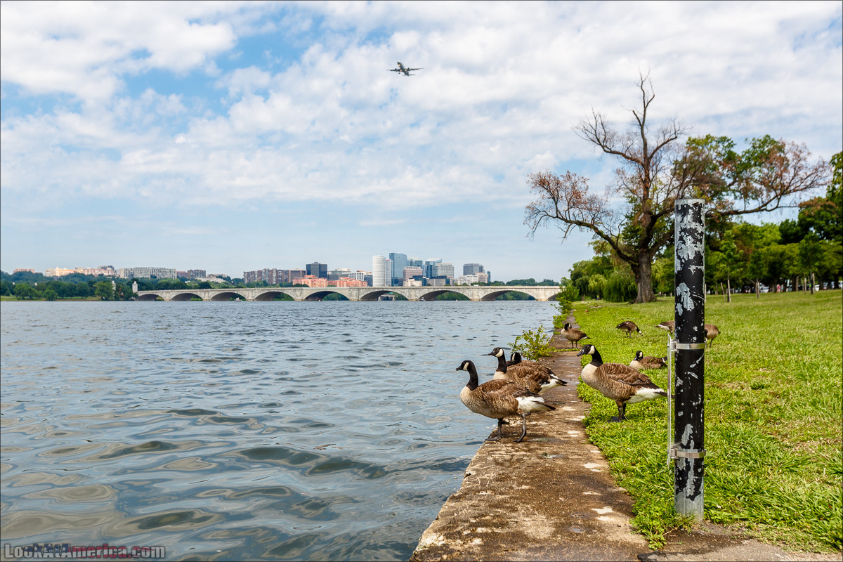 Вашингтон | LookAtAmerica.com - Большое Американское путешествие LookAtIsrael.com