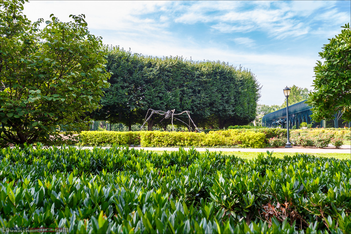 Вашингтон | LookAtAmerica.com - Большое Американское путешествие LookAtIsrael.com