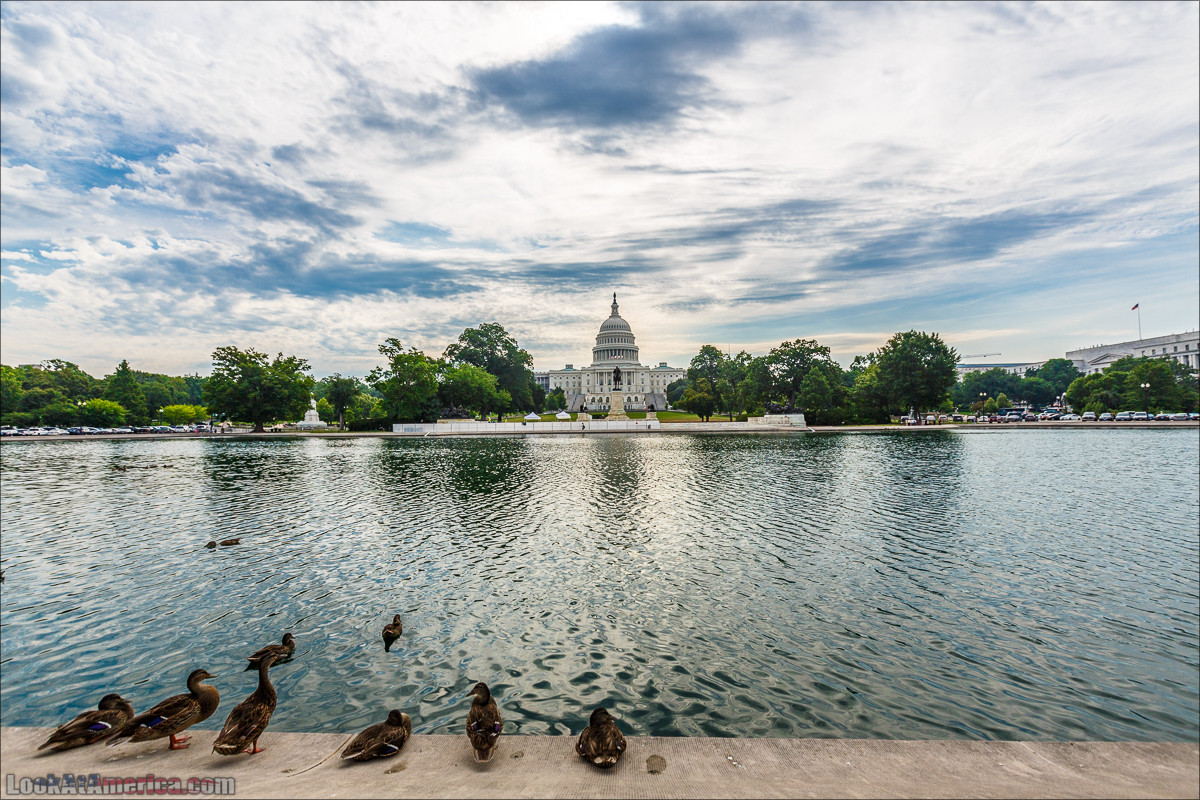 Вашингтон | LookAtAmerica.com - Большое Американское путешествие LookAtIsrael.com