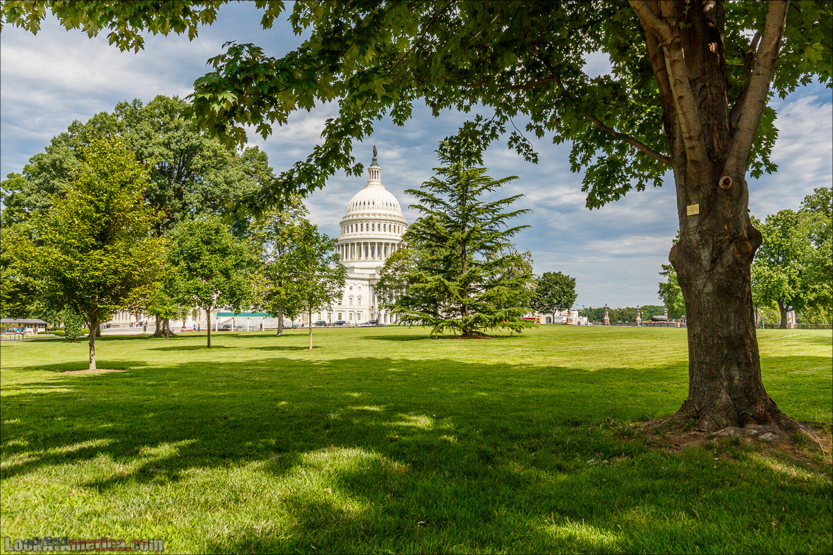 Вашингтон | LookAtAmerica.com - Большое Американское путешествие LookAtIsrael.com