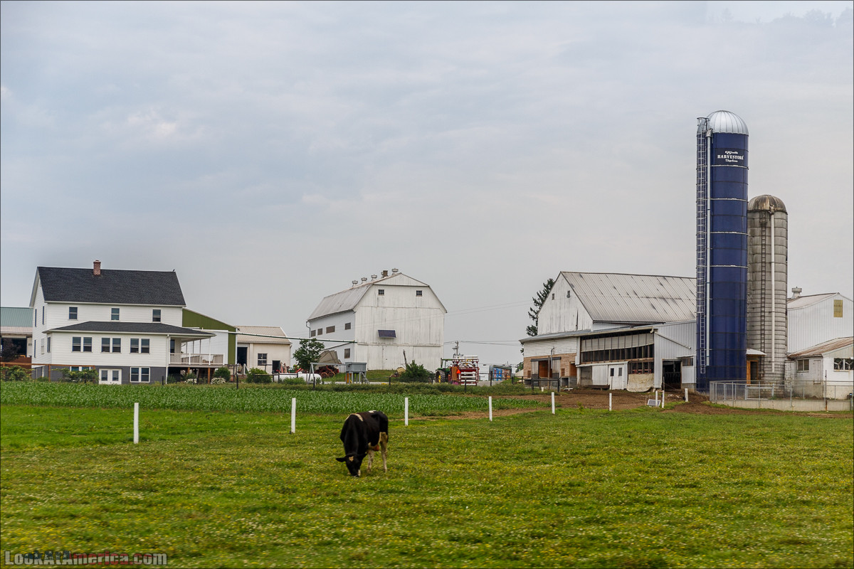 Амиши | LookAtAmerica.com - Большое Американское путешествие LookAtIsrael.com