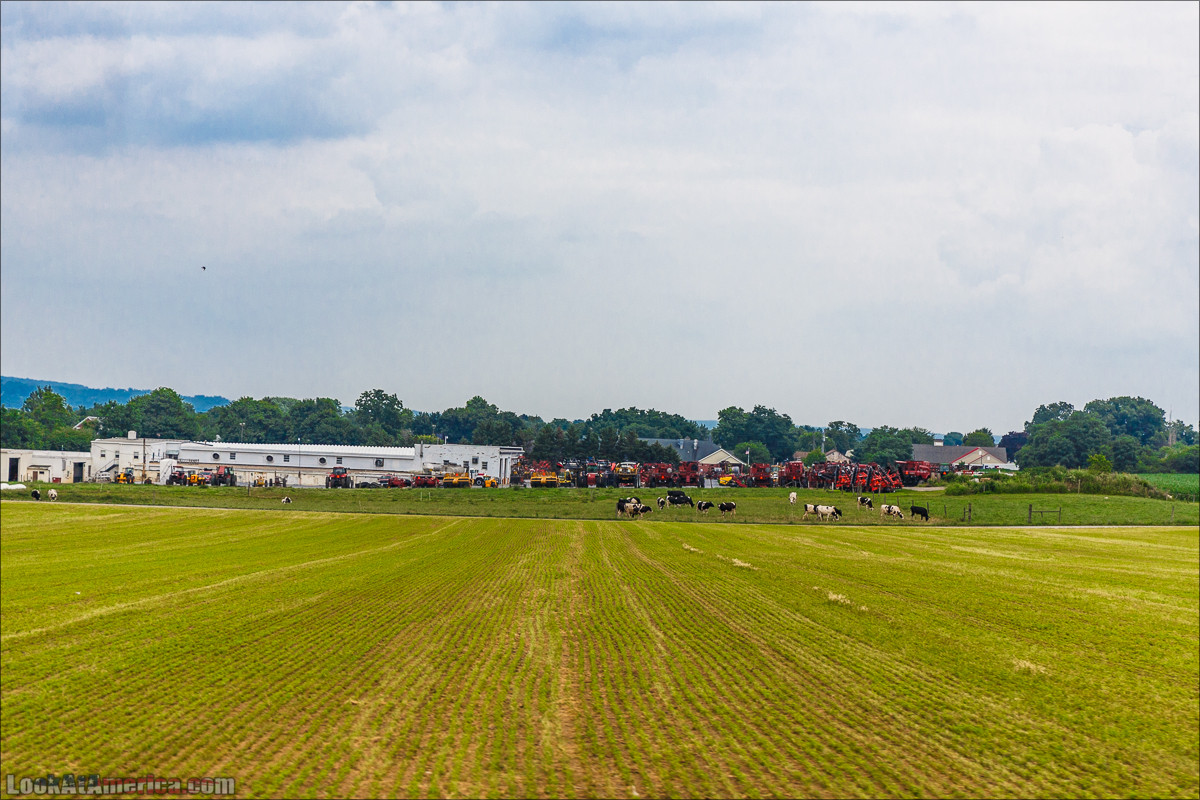 Амиши | LookAtAmerica.com - Большое Американское путешествие LookAtIsrael.com