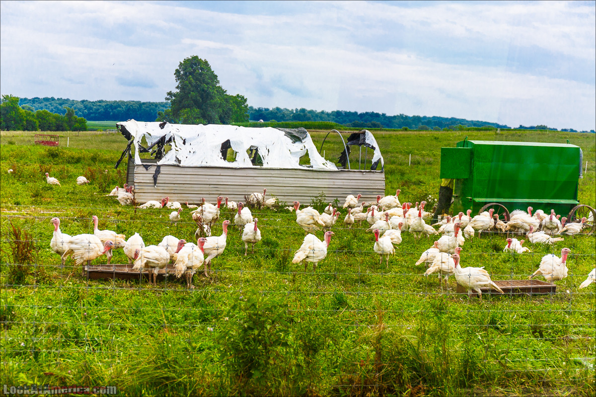 Амиши | LookAtAmerica.com - Большое Американское путешествие LookAtIsrael.com