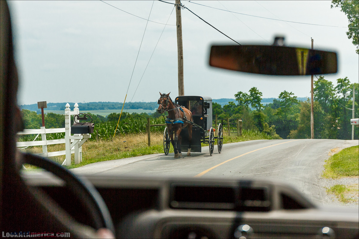 Амиши | LookAtAmerica.com - Большое Американское путешествие LookAtIsrael.com