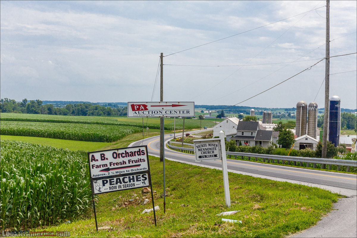 Амиши | LookAtAmerica.com - Большое Американское путешествие LookAtIsrael.com