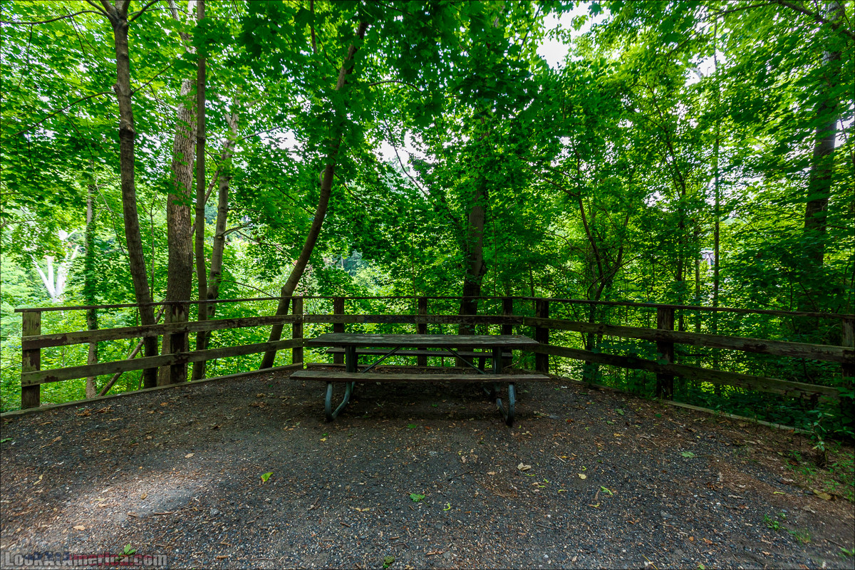 Сэвэдж Милл | LookAtAmerica.com - Большое Американское путешествие LookAtIsrael.com