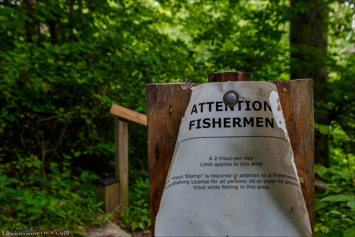 Сэвэдж Милл | LookAtAmerica.com - Большое Американское путешествие LookAtIsrael.com