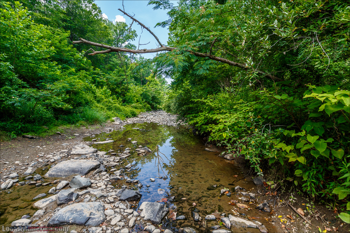 Сэвэдж Милл | LookAtAmerica.com - Большое Американское путешествие LookAtIsrael.com