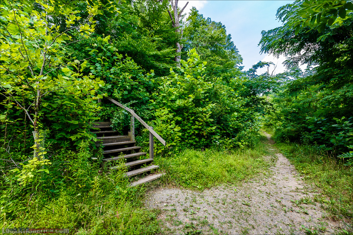 Сэвэдж Милл | LookAtAmerica.com - Большое Американское путешествие LookAtIsrael.com